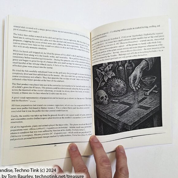 Haitian Horror by Thomas Baurley (Paperback: July 2025) - Picture 9 of 14